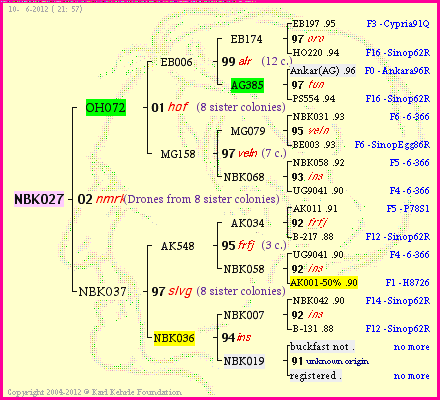 Pedigree of NBK027 :
four generations presented