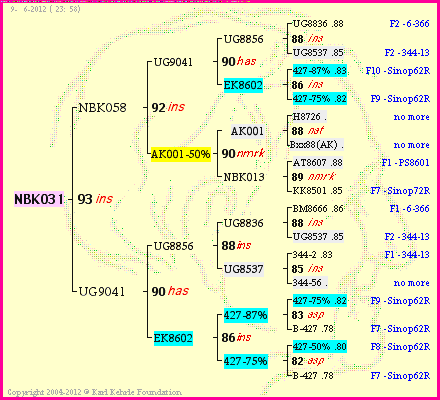 Pedigree of NBK031 :
four generations presented