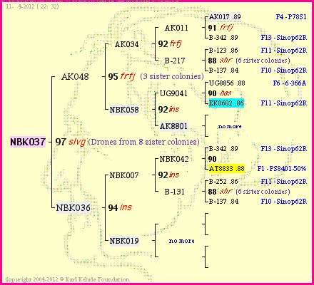 Pedigree of NBK037 :
four generations presented