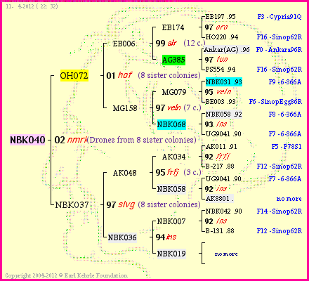 Pedigree of NBK040 :
four generations presented