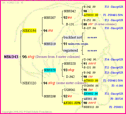 Pedigree of NBK043 :
four generations presented