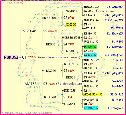 Pedigree of NBK052 :
four generations presented