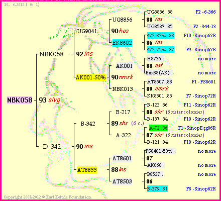 Pedigree of NBK058 :
four generations presented