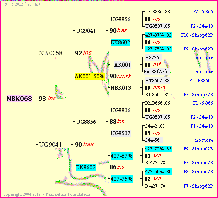 Pedigree of NBK068 :
four generations presented