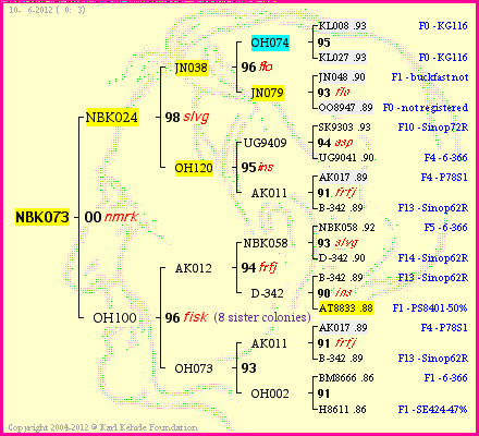 Pedigree of NBK073 :
four generations presented