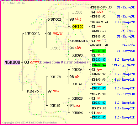 Pedigree of NBK088 :
four generations presented