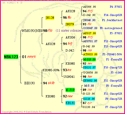 Pedigree of NBK123 :
four generations presented