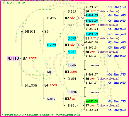 Pedigree of NJ110 :
four generations presented