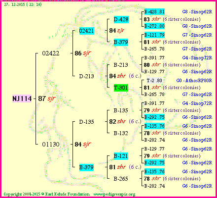 Pedigree of NJ114 :
four generations presented