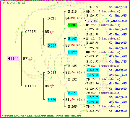 Pedigree of NJ141 :
four generations presented