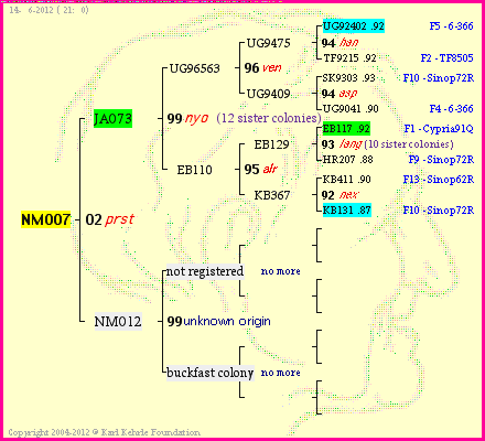 Pedigree of NM007 :
four generations presented