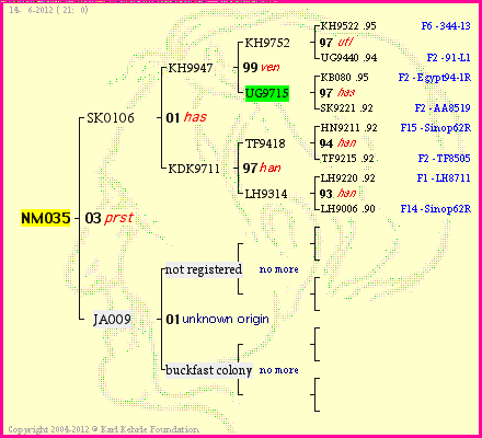 Pedigree of NM035 :
four generations presented