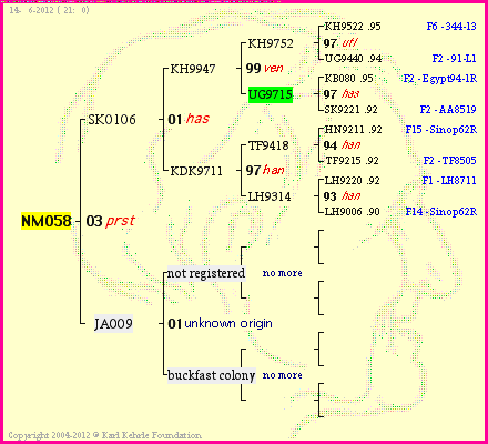 Pedigree of NM058 :
four generations presented