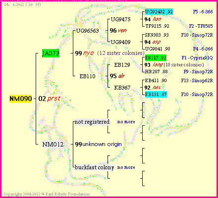 Pedigree of NM090 :
four generations presented