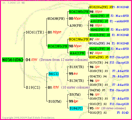 Pedigree of NO561(DK) :
four generations presented