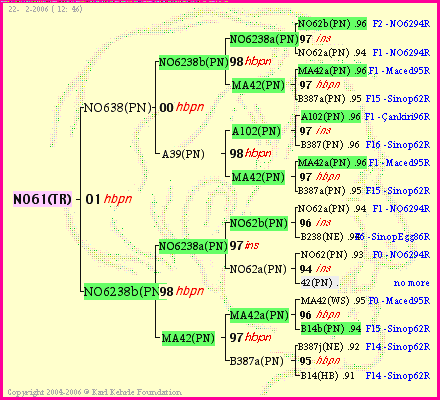 Pedigree of NO61(TR) :
four generations presented<br />it's temporarily unavailable, sorry!