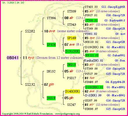 Pedigree of OB041 :
four generations presented