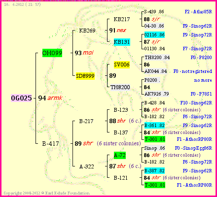 Pedigree of OG025 :
four generations presented