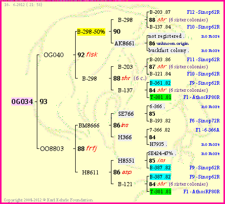 Pedigree of OG034 :
four generations presented