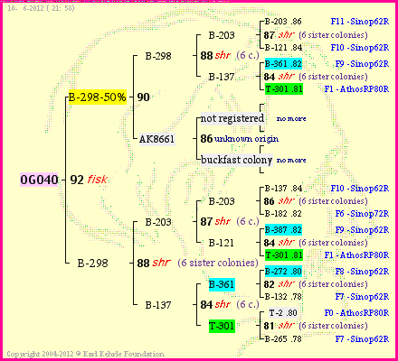 Pedigree of OG040 :
four generations presented