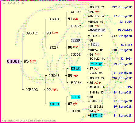 Pedigree of OH001 :
four generations presented