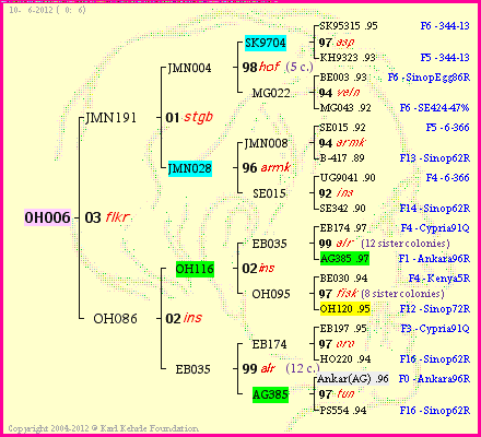 Pedigree of OH006 :
four generations presented