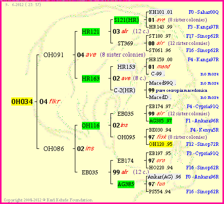 Pedigree of OH034 :
four generations presented