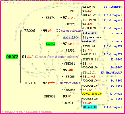 Pedigree of OH072 :
four generations presented