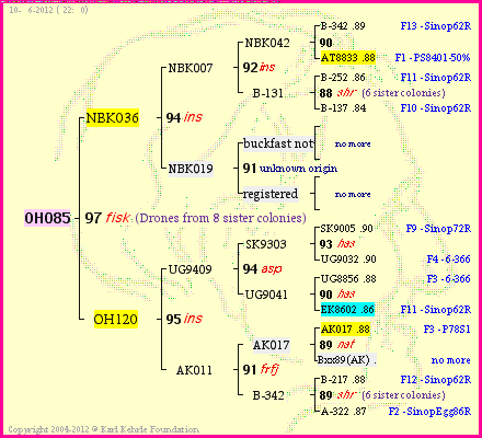 Pedigree of OH085 :
four generations presented