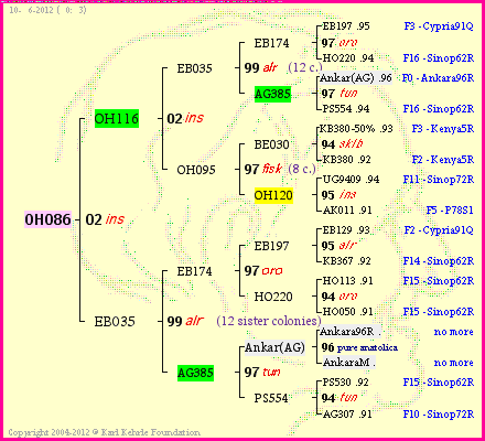 Pedigree of OH086 :
four generations presented