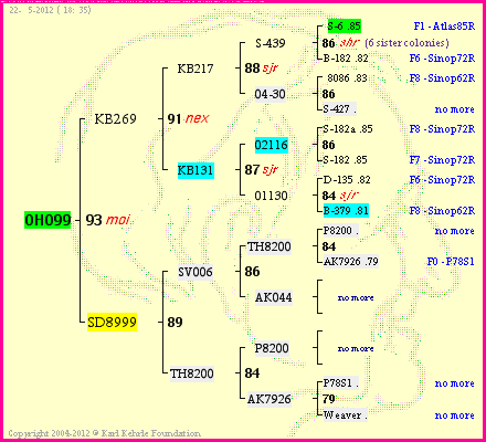 Pedigree of OH099 :
four generations presented