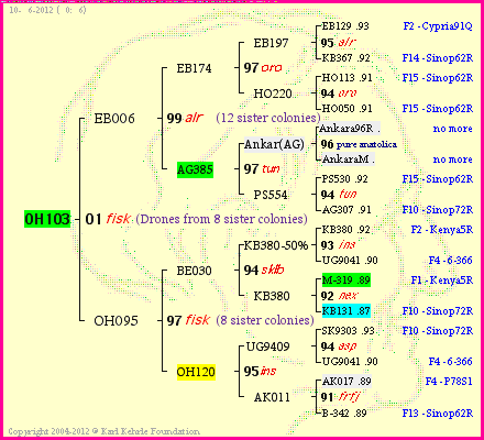 Pedigree of OH103 :
four generations presented