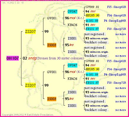 Pedigree of OH107 :
four generations presented