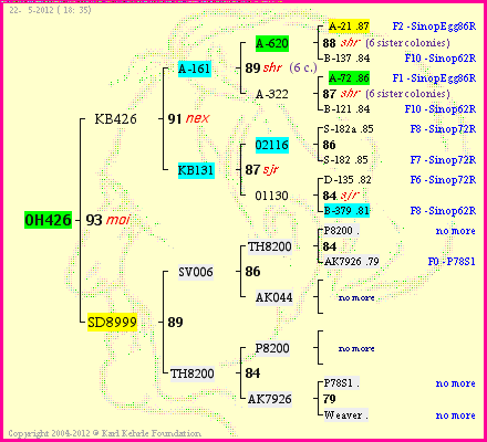 Pedigree of OH426 :
four generations presented