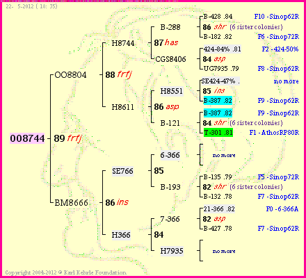 Pedigree of OO8744 :
four generations presented