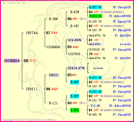 Pedigree of OO8804 :
four generations presented