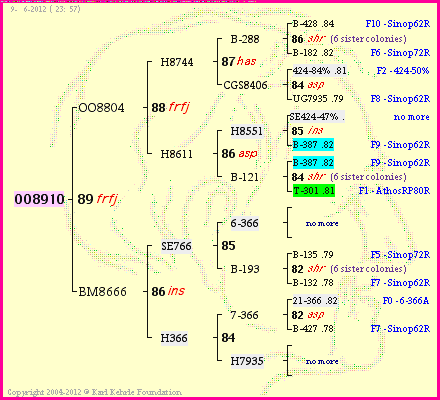 Pedigree of OO8910 :
four generations presented