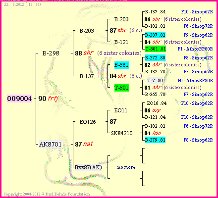 Pedigree of OO9004 :
four generations presented