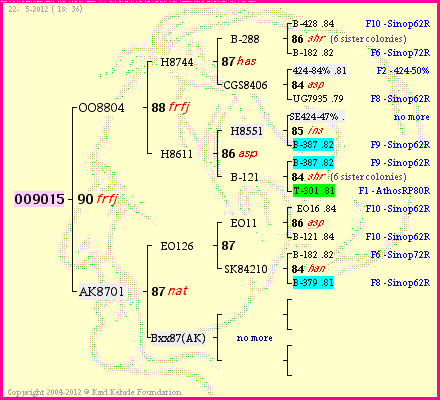 Pedigree of OO9015 :
four generations presented