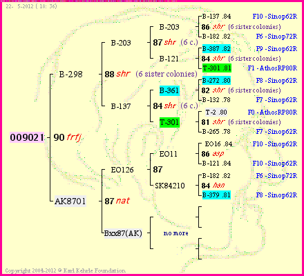 Pedigree of OO9021 :
four generations presented