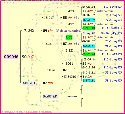 Pedigree of OO9046 :
four generations presented