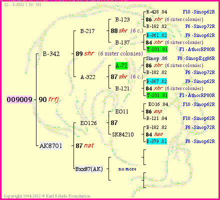 Pedigree of OO90O9 :
four generations presented