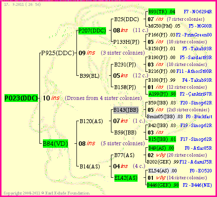 Pedigree of P023(DDC) :
four generations presented