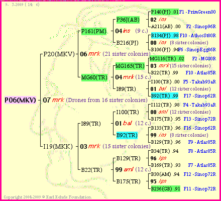 Pedigree of P06(MKV) :
four generations presented