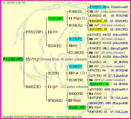 Pedigree of P129(CHP) :
four generations presented