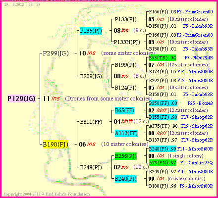 Pedigree of P129(JG) :
four generations presented