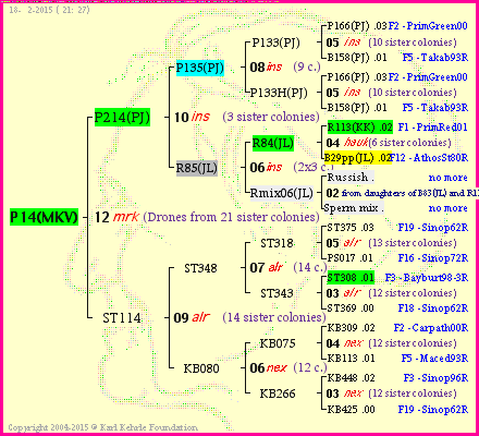 Pedigree of P14(MKV) :
four generations presented