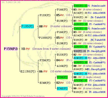 Pedigree of P159(PJ) :
four generations presented