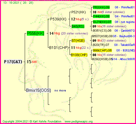 Pedigree of P17(GKT) :
four generations presented
it's temporarily unavailable, sorry!