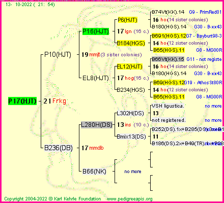 Pedigree of P17(HJT) :
four generations presented
it's temporarily unavailable, sorry!